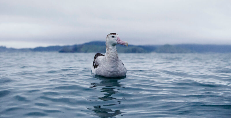Photography by Daan Hoffmann