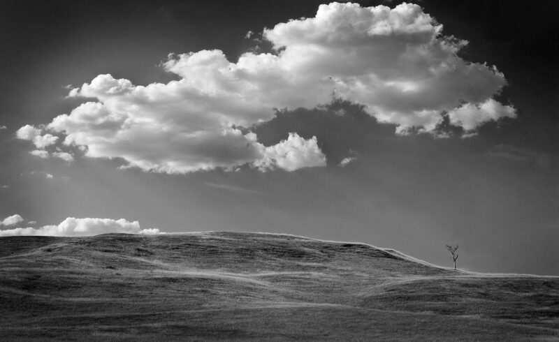 Photography by Daan Hoffmann