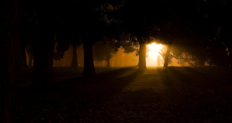 Photography by Daan Hoffmann