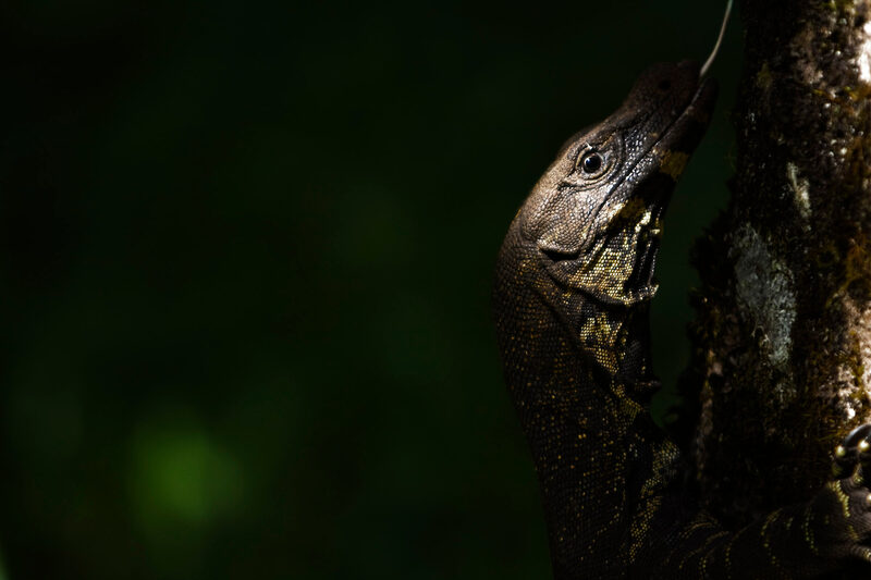 Photography by Daan Hoffmann